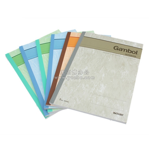 渡边 B5软抄本（无线装订本）179*252mm