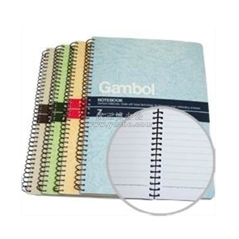 渡边 S6507 线圈本 活页本(螺旋装订本)B5/50页