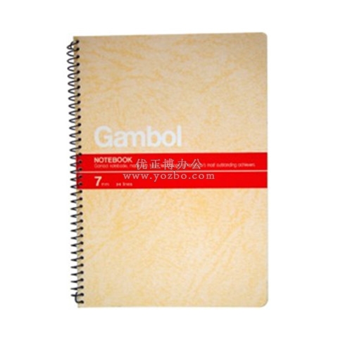 渡边 S6807 线圈本 活页本（螺旋装订本）B5/80页