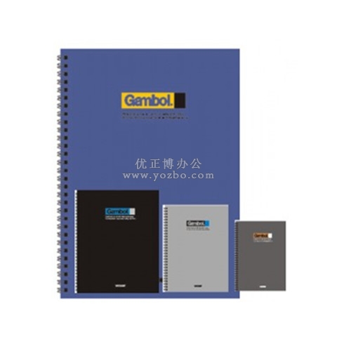 渡边 DS4000 线圈本 活页本（双螺旋PP面）A4/80页