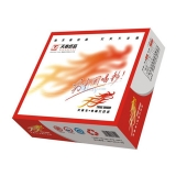 天章龙电脑打印纸 80列三层241-3（1000页）