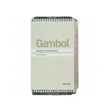 渡边 线圈本 螺旋装订本 SA7506 A7/50页