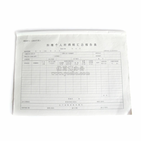 立信 扣缴个人所得税汇总报告表 A3/50页