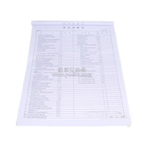 立信 现金流量表 8K/50页