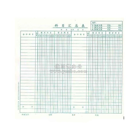 立信 科目汇总表 12K*50页