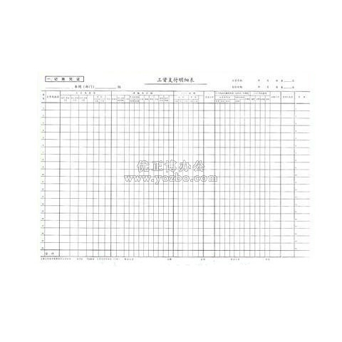 立信 工资表(11-704) 11K*50页
