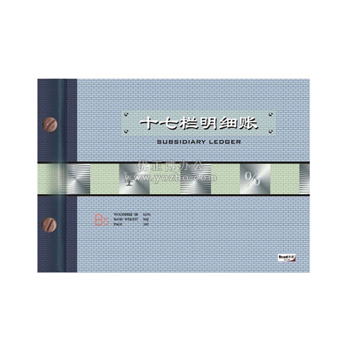 前通 十七栏明细帐 16K 100页
