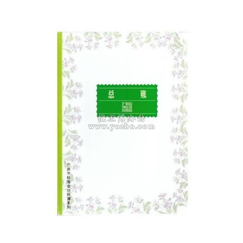 立信 总帐 16K 100页