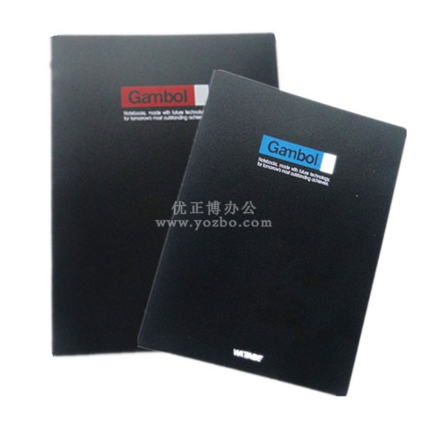 渡边 A5活页夹 FR1031 20孔夹 30页