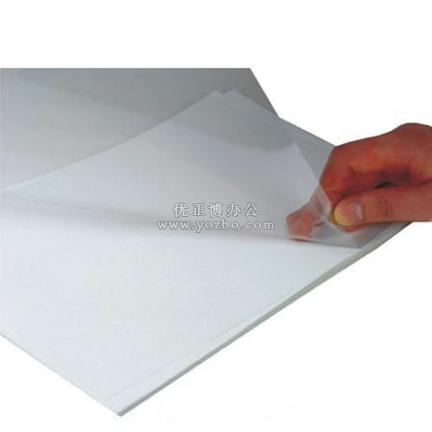 世博 透明装订胶片 A3 100张/包