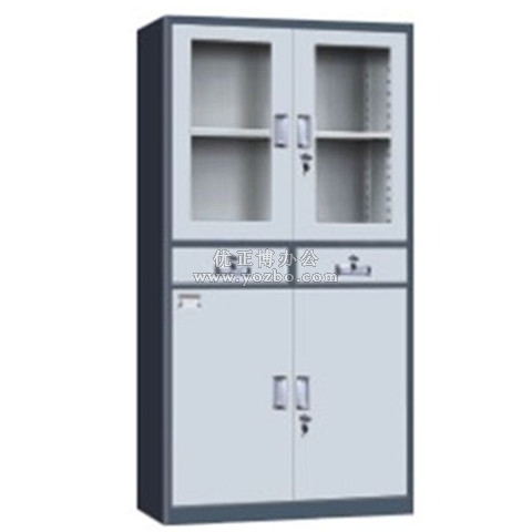 钢制办公文件柜 LB-W-071中二斗玻璃柜 铁皮柜