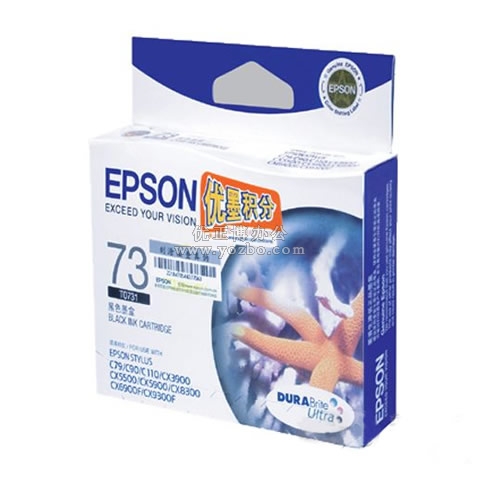 爱普生 T0731黑色墨盒 C13T105180
