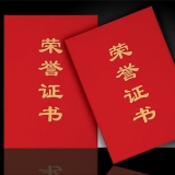 荣誉证书 89直式 绒面发泡