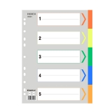 齐心 胶质彩色分类索引纸 (11孔，五色) IX901 A4