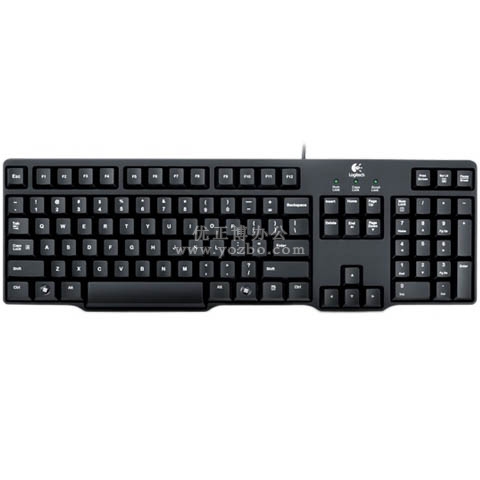 罗技(Logitech)经典K100 键盘 黑色(PS/2接口)