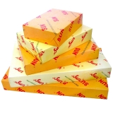 太阳 复印纸 A4 10包/箱 500张/包