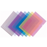 齐心单页夹二页文件套文件夹加厚文件套 E310